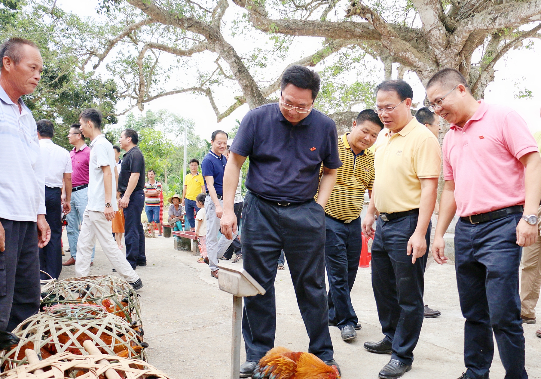佰利乐·(中国区)有限公司官网